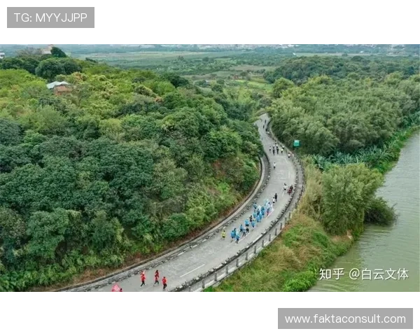 掌握开云体育入口网址的特点与优势，玩转体育赛事